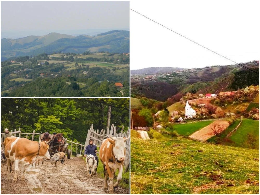 Peisajele frumoase şi animalele sunt carcateristicile principale de la Purcăreţi. Foto; primariapianu.ro
