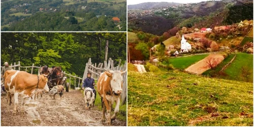 purcareti apuseni alba