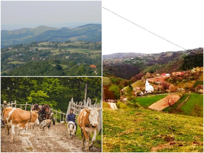 Peisajele frumoase şi animalele sunt carcateristicile principale de la Purcăreţi. Foto; primariapianu.ro