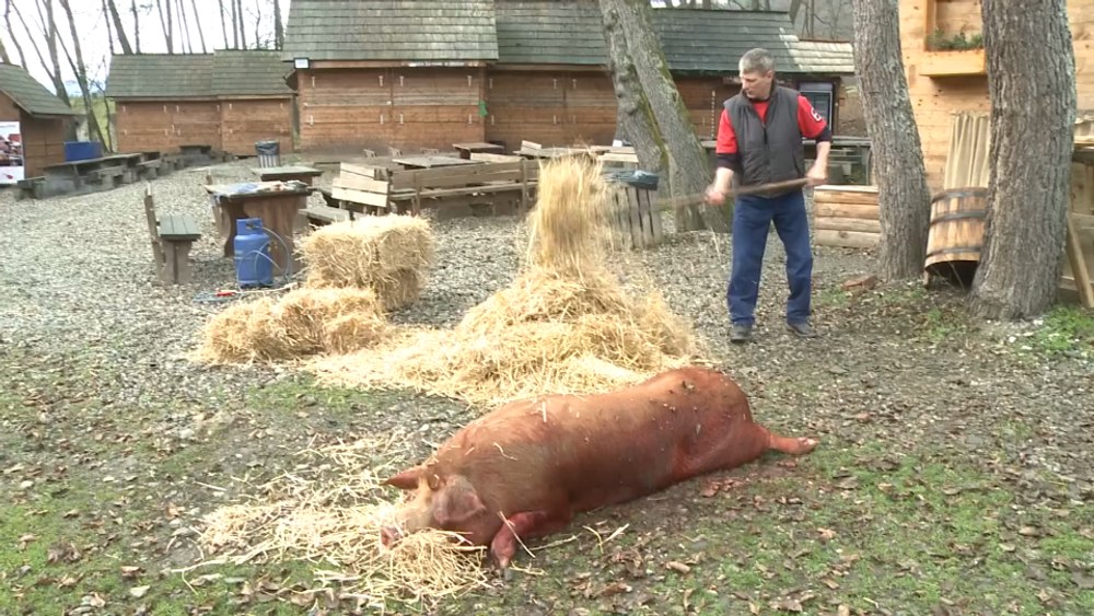 Ignatul la români, tradiționala tăiere a porcului de Crăciun. Degustare la Muzeul Astra din Sibiu FOTO VIDEO