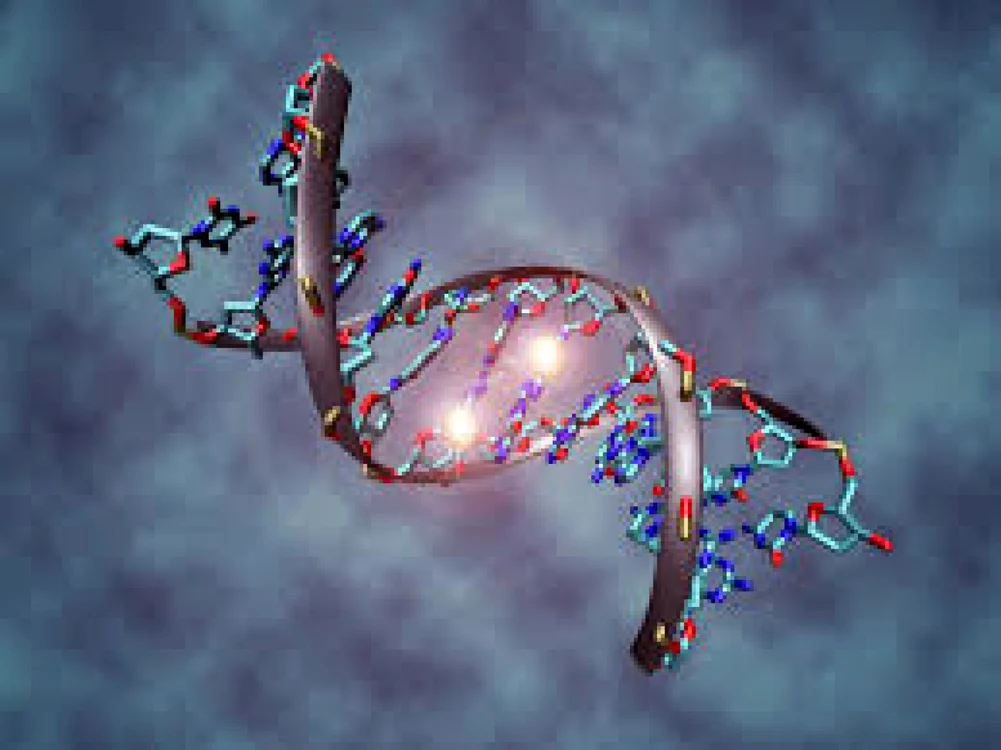 epigenetica