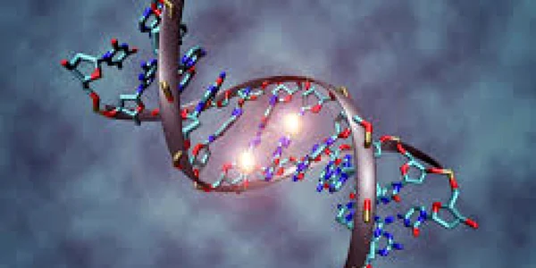 epigenetica
