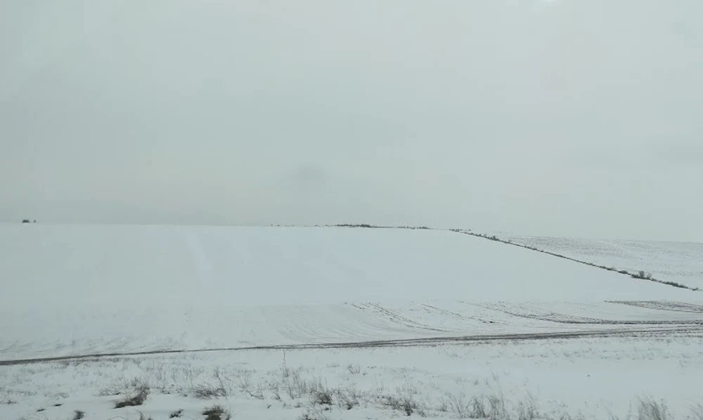 Zăpada, strat protector pentru culturile agricole FOTO: C.Mazilu