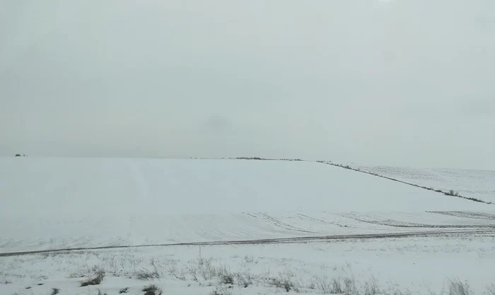 Zăpada, strat protector pentru culturile agricole FOTO: C.Mazilu