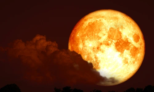 1 shutterstock 1434749117 jpg jpeg