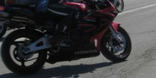 Reşiţa:  Poliţia a stabilit împrejurările în care un motociclist a murit după ce a lovit o vacă ce traversa şoseaua