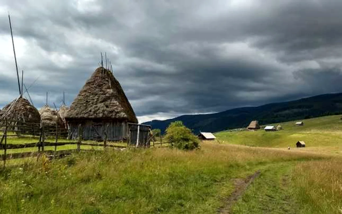 zapodie alba apuseni