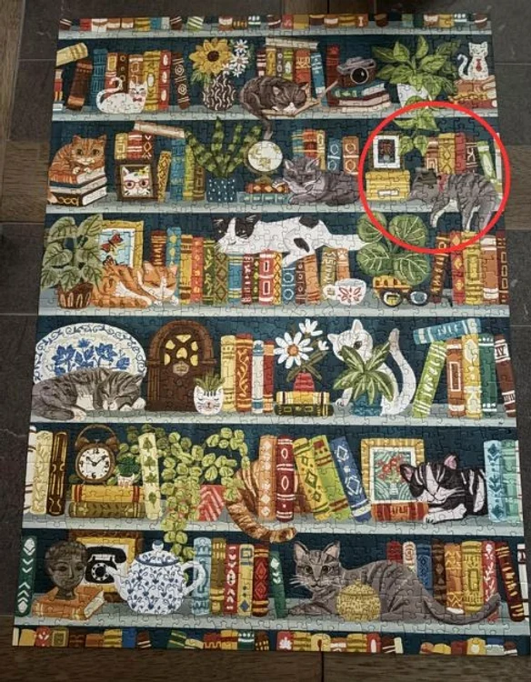 Rezolvarea provocării