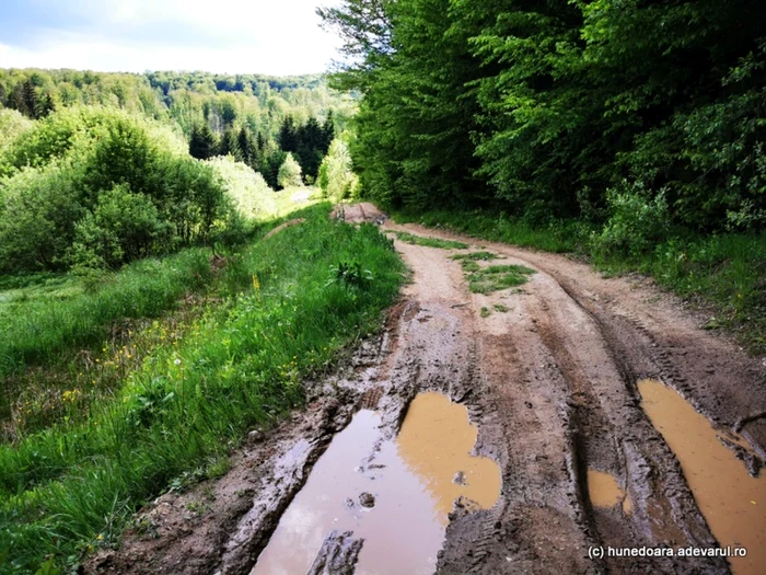 Drumul, în Caraș-Severin. Foto: Daniel Guță. ADEVĂRUL