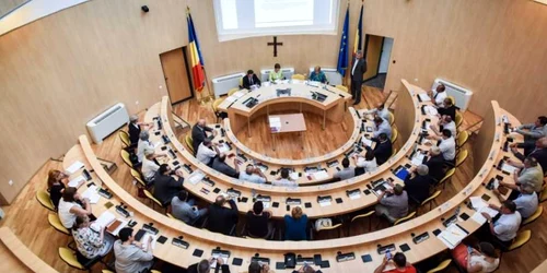 cj sibiu sedinta foto silvana armat