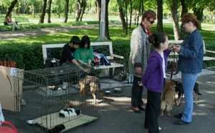 Arhivă