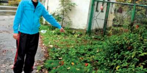 Cum a fost  oprită o dublă  emo-sinucidere