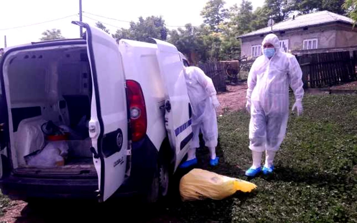 Specialiştii au neutralizat carnea infectată cu antrax FOTO Cosmin Zamfirache