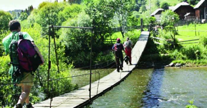 Turism în Bucovina