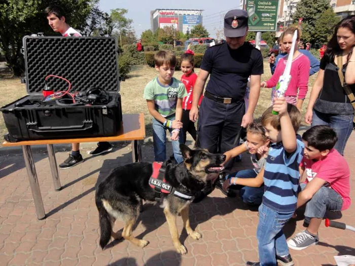 Căţeluşa Mera, singurul exemplar canin al ISU Olt specializat în acţiuni de căutare-salvare a persoanelor prinse sub dărâmături