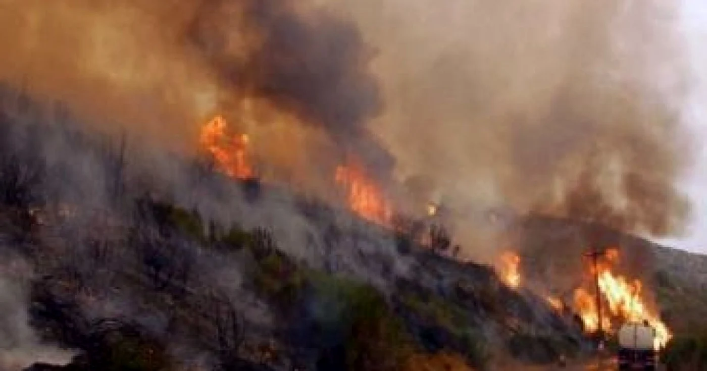 Alba: Pagube de peste 3,7 milioane de lei provocate de incendii