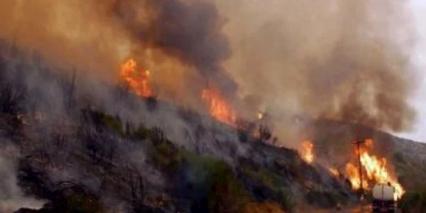 Alba: Pagube de peste 3,7 milioane de lei provocate de incendii