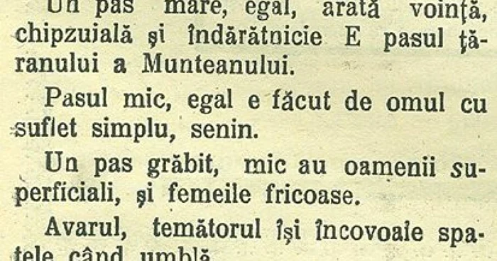 Articolul în care apare tipologia oamenilor după umblet/Foto Arhivele Naţionale Alba