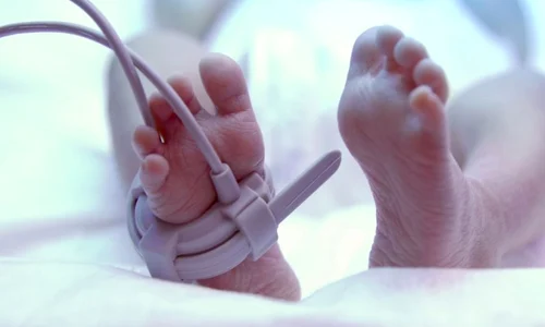 nou nascut bebelus shutterstock