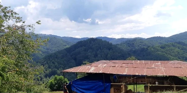 cetatea costesti