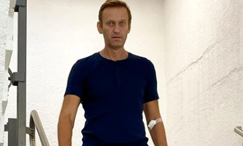 alexei2 png