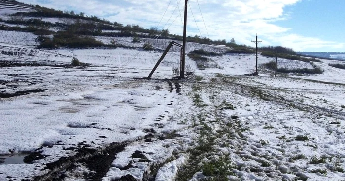 vaslui