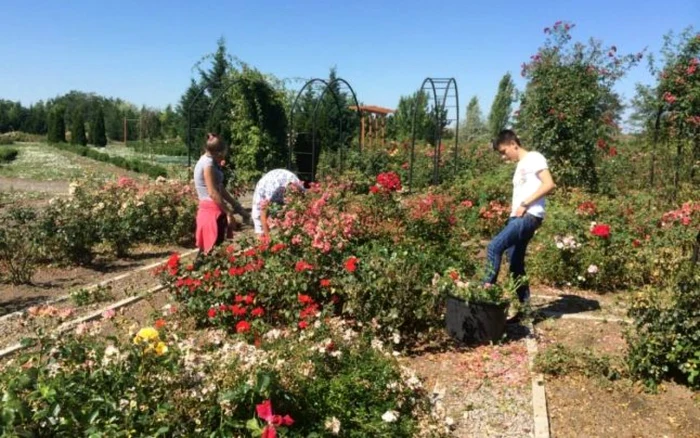 Rozariu din Mândruloc, cel mai mare din ţară. Foto arhivă adevarul.ro