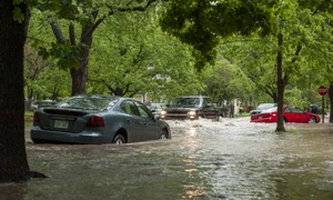 masini inundatii jpg