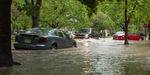 masini inundatii jpg