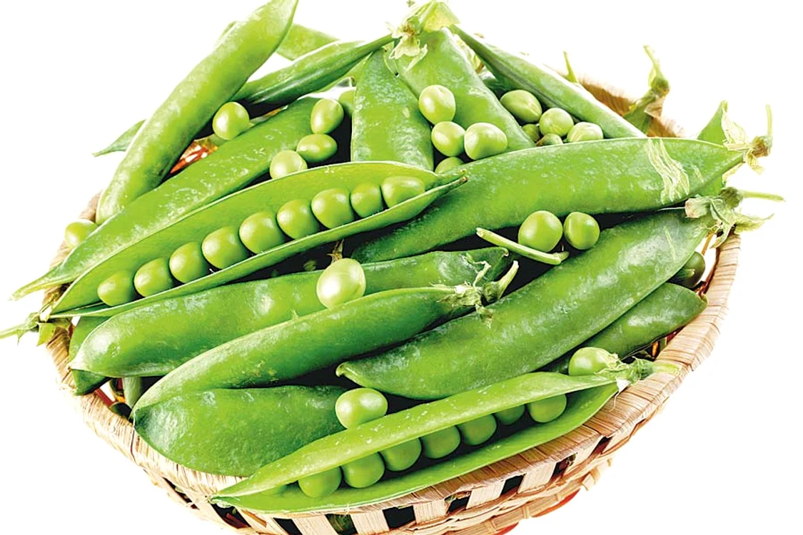 
    Mazăre  