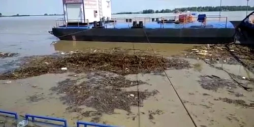 5cf8e4b8445219c57e7e9ccb jpg