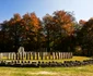 Sarmizegetusa Regia  Foto Daniel Guță ADEVĂRUL (6) jpg