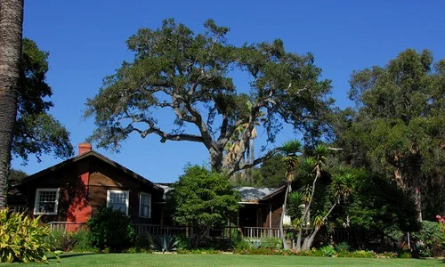 ferma alegro1 0 jpeg