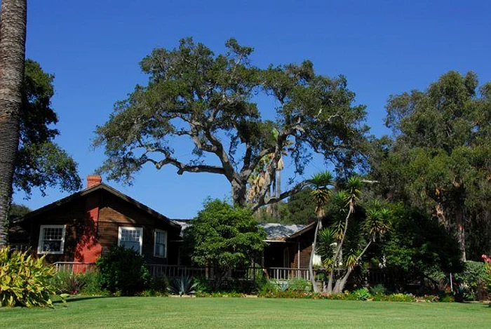 ferma alegro1 0 jpeg