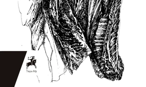 miere pe limbă jpeg