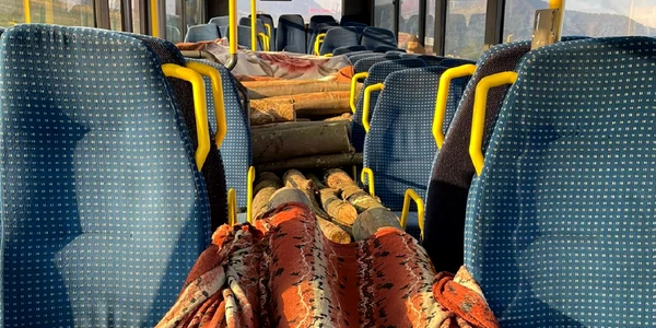 lemn furat cu autobuzul IPJ MM jpeg