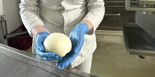 cascaval bradet in fabrica 03 foto marius badea jpg