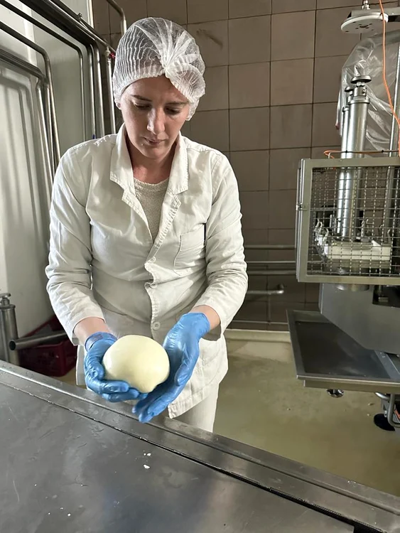Pentru un kilogram de cașcaval de Brădet se prelucrează 10,5 litri de lapte FOTO Marius Badea