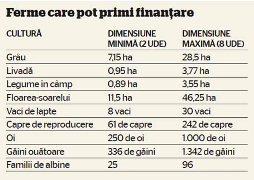 info