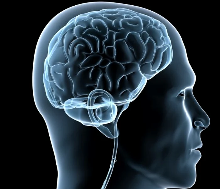 
    Nicotina, alcoolul și poluarea se numără printre factori care afectează sănătatea creieruluiclicksanatate.ro  