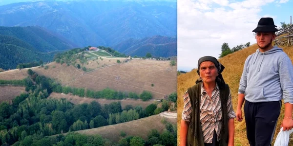 ursici foto daniel guta adevarul