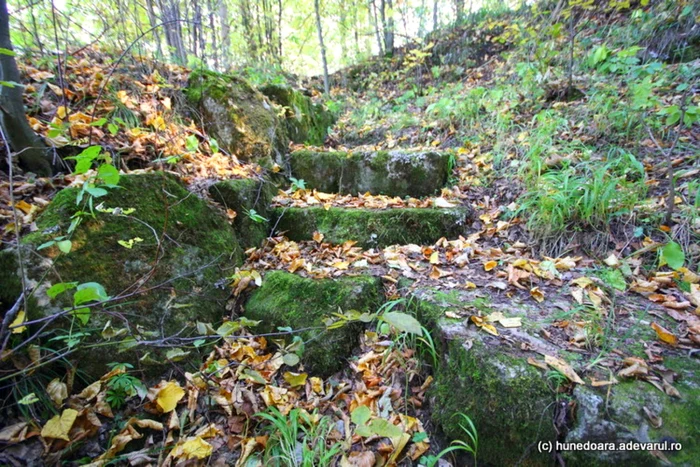 Intrarea în Cetatea Băniţa, aproape inaccesibilă. FOTO: Daniel Guţă. ADEVĂRUL