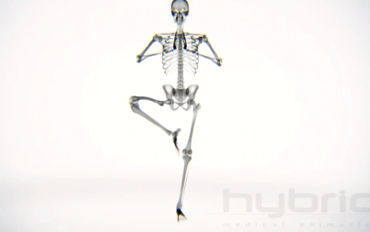 Mişcarea scheletului uman văzută cu ajutorul razelor X. Foto Medical Daily