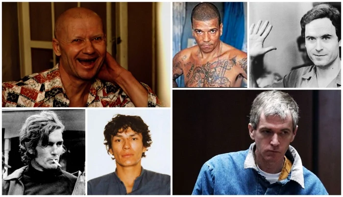 Colaj criminali