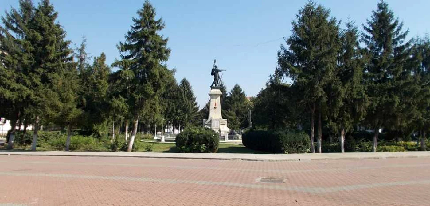 Consilierii au hotărât că brazii trebuie îndepăraţi pentru că „obturează vizibilitatea şi punerea în valoare“ a monumentului care se vede în imagine