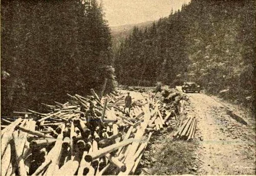 Transalpina in 1936 Foto Vremea (1) jpg