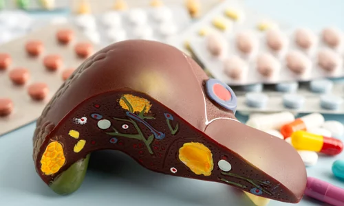 shutterstock 2614540797 jpg