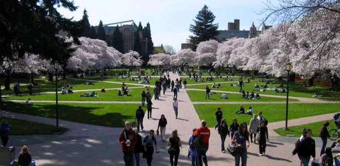 Cornell University