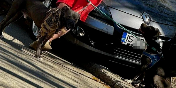 Barbat care racola eleve FOTO Jandarmeria Romana jpg