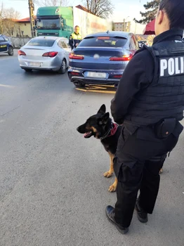 Razie de poliție în Ilfov